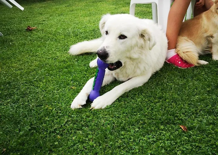 Lägenhet Il Tetto *